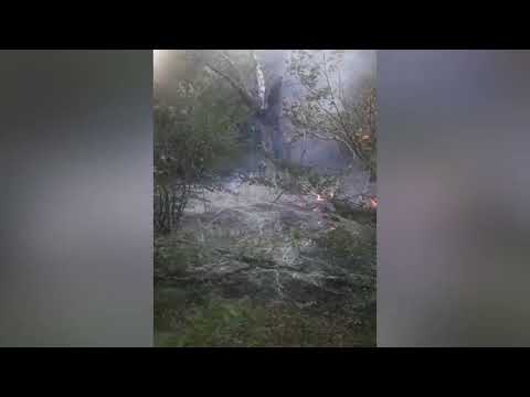 FHN-in Dövlət Yanğın Nəzarəti Xidməti Şabran rayonu ərazisindəki meşə yanğınının səbəbini müəyyən edib