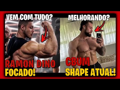 CBUM MOSTRA SHAPE ATUAL-RAMON DINO VOLTA AOS TREINOS PESADOS #ramondino #cbum