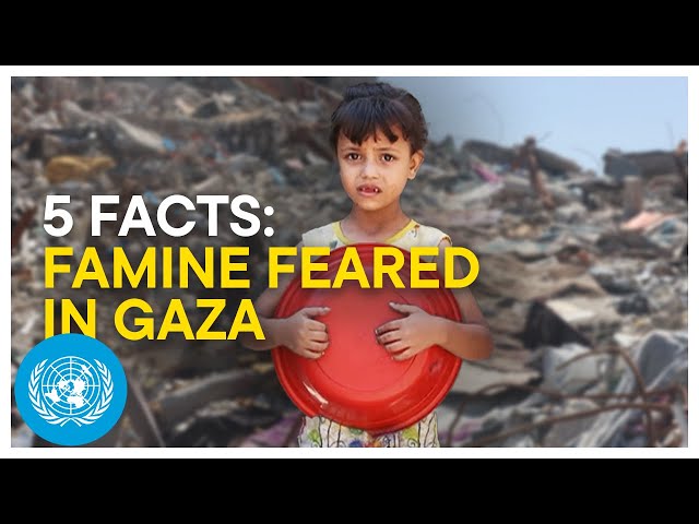 Mounting Evidence of Famine in Gaza