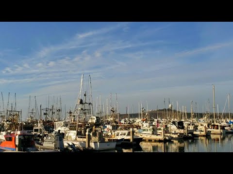 A Tour of Pillar Point Harbor