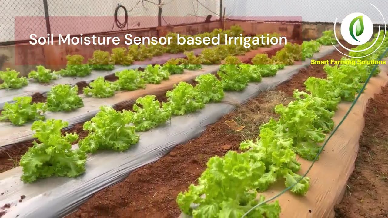 Agrayan Sensor Based Automation Irrigation System