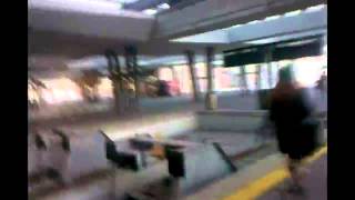 Bourbonese Qualk - t.c.p.h.