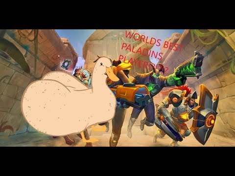 Worlds best Paladins player? feat. StopMeV1 (artrocz)