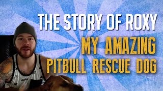 The Story of Roxy - My Amazing Pitbull Rescue Dog
