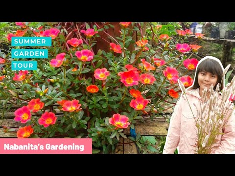 Flowers||summer garden tour||Nabanita's Gardening