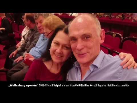 „Wallenberg nyomán” filmszemle
