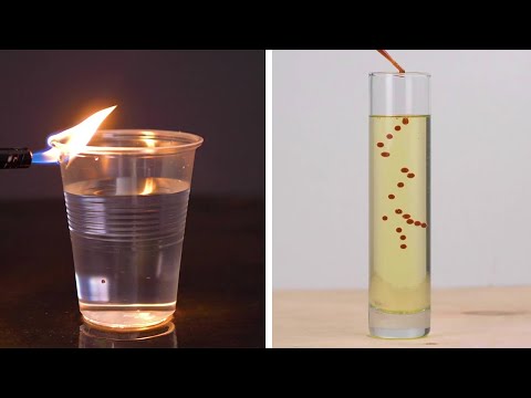 Try These Clever Science Tricks at Home!
