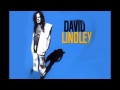 David Lindley, Ain't No Way. (Reggae)