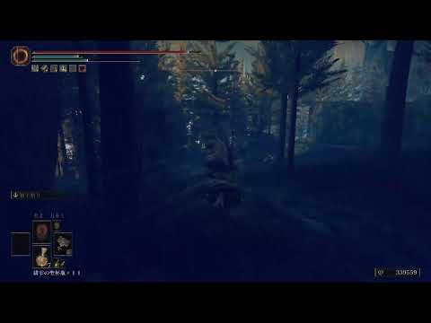 Elden Ring DLC: Shadow Of The Erdtree PS5 Playthrough Part 13