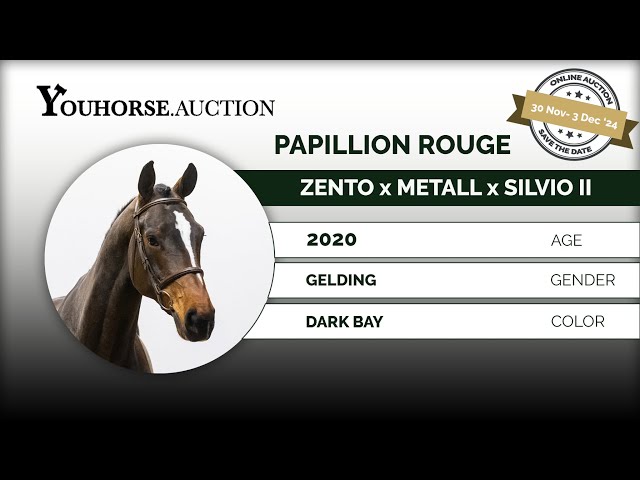 Papillion Rouge