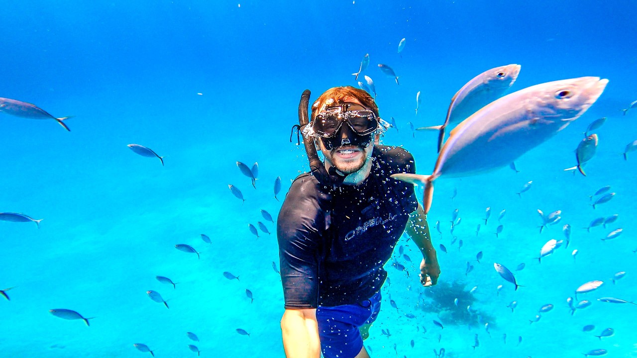 The BEST Freedive of My Life!!!