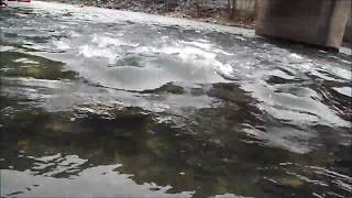 preview picture of video 'Kayaking Lower Swatara Creek'