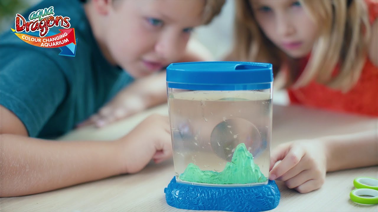 Aqua Dragons Colour Changing Aquarium