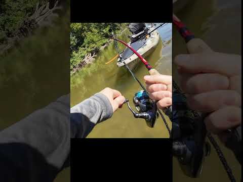 EPIC Fight with BIG Bass!!