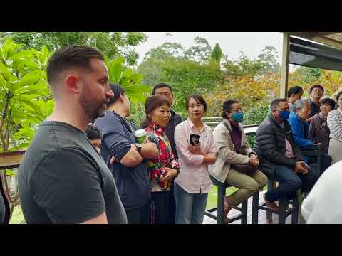 Auction 42 Hinemoa Avenue Normanhurst