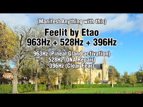 Feelit 963Hz + 528Hz + 396Hz by Etao (Manifest ANYTHING WITH this)