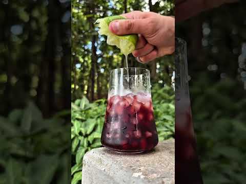 Tinto de verano sem álcool