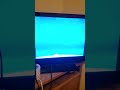 The Backyardigans Theme Song