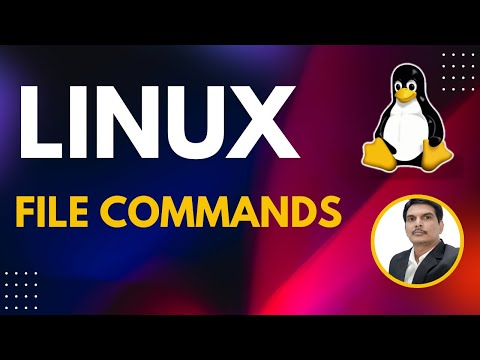 Part 1 Unix Linux for Testers File Commands