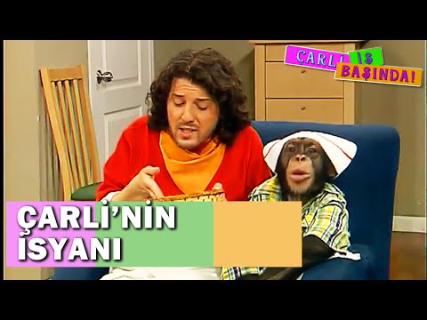 Çarli'yle Afakan'ın İsyanı! - Çarli İş Başında 17. Bölüm