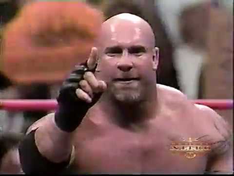 Goldberg vs. Meng [2000-10-02]