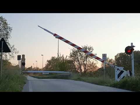 Level crossing #10 - Cavarzere - Via Lungo Adige #railroadcrossing