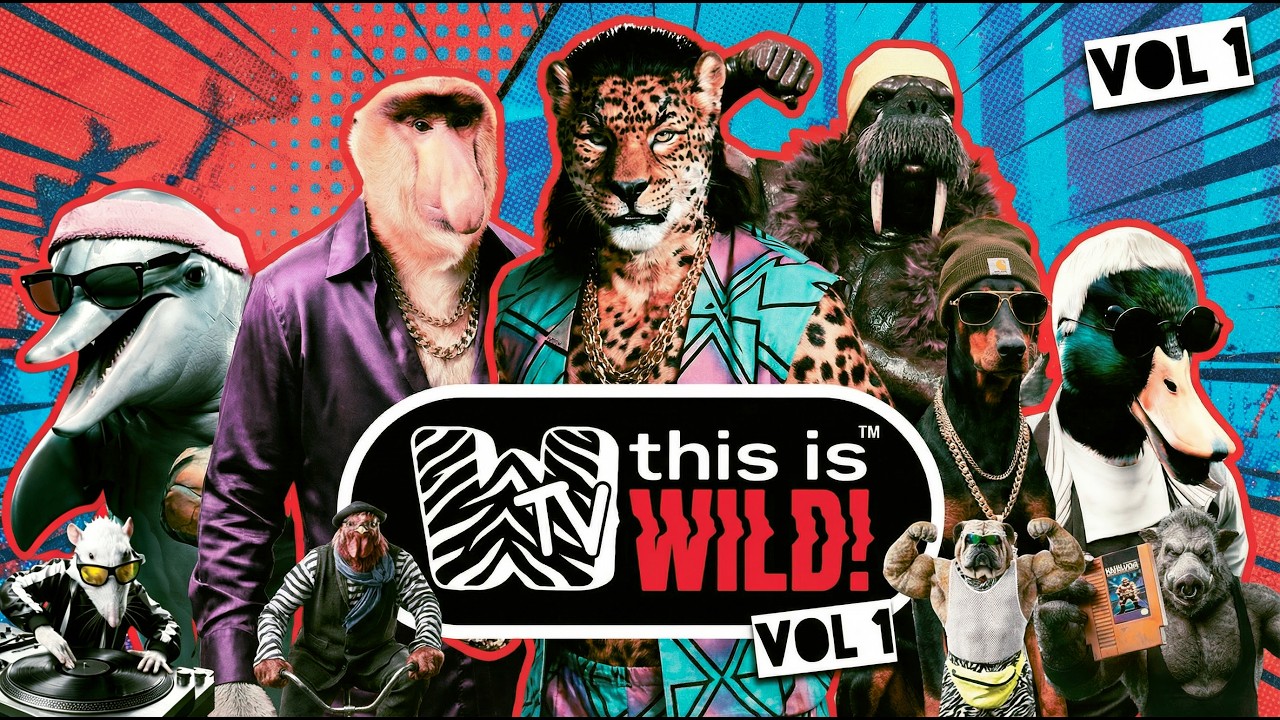 THIS IS WILD TV VOL.1