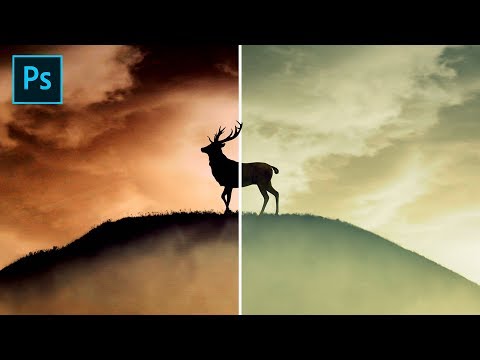 download lagu mp3 mp4 Unire 2 Foto Photoshop, download lagu Unire 2 Foto Photoshop gratis, unduh video klip Unire 2 Foto Photoshop