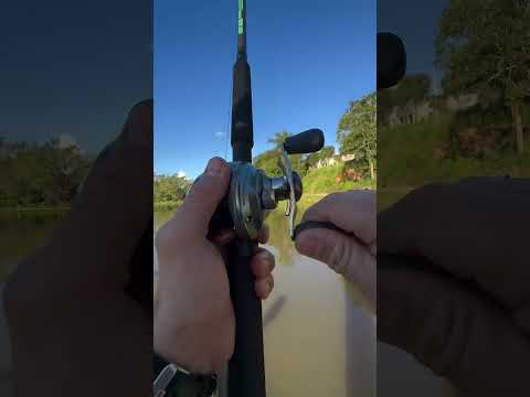 Pescaria no pesque pague do gel na cidade de Lagoa dourada Mg