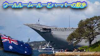 021 ウールルームールーとハーバーの散歩　woolloomooloo and Harbour