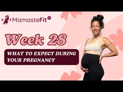 Week 28: What to Expect During Your Pregnancy + Gina's Pregnancy Journey!