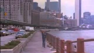 Scugnizzo A New York Lyrics English Translation