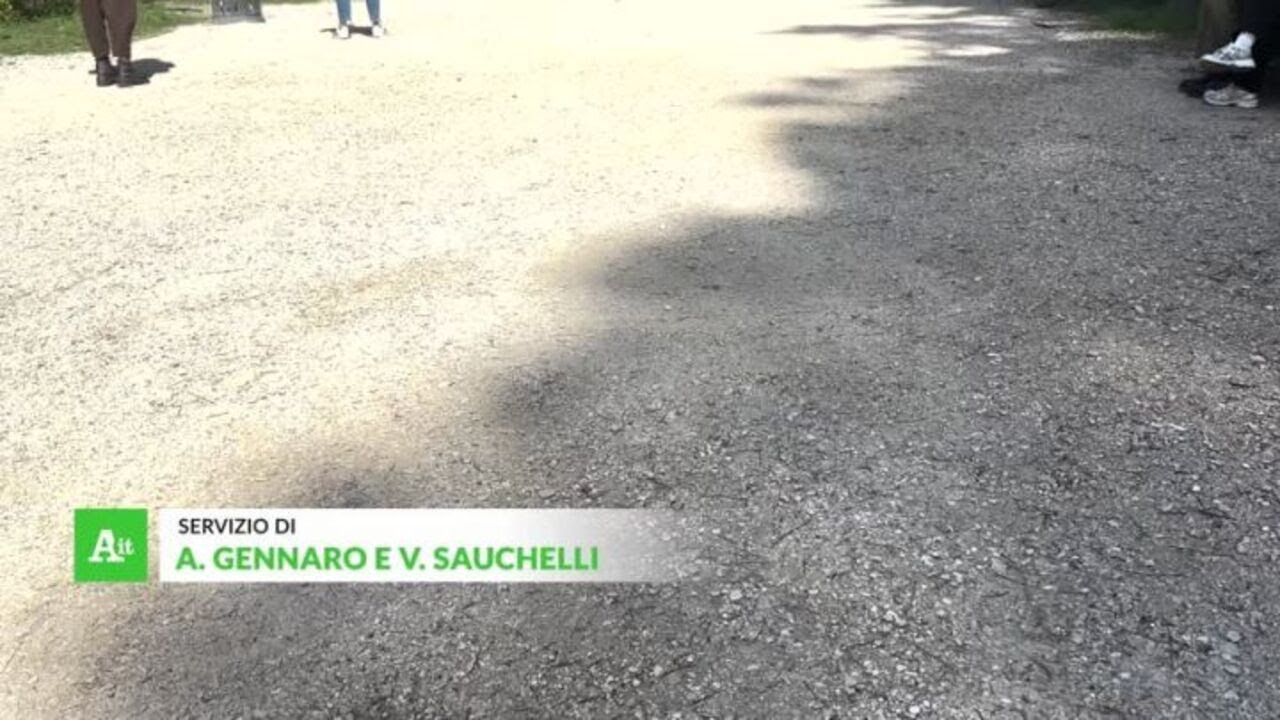 "Sull'Adhd mancano le linee guida, disturbo sottovalutato"