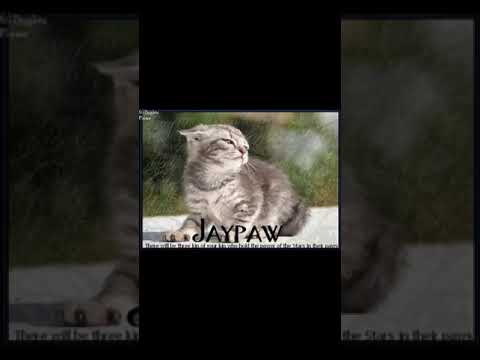 Jay𝕜𝕚𝕥-𝕡𝕒𝕨-𝕗𝕖𝕒𝕥𝕙𝕖𝕣