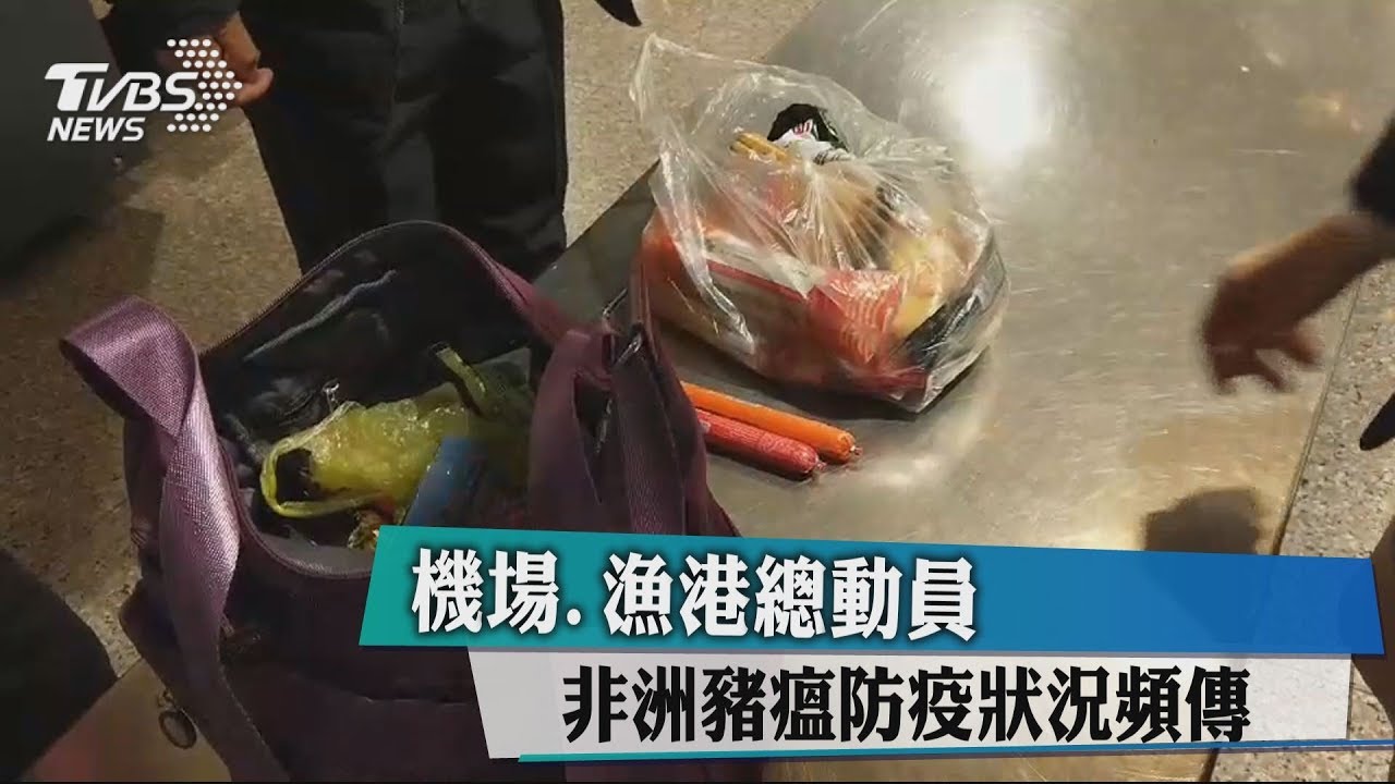 機場、漁港總動員 非洲豬瘟防疫狀況頻傳