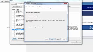 How to plugin tomcat server with netbeans 2016