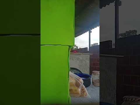 7 de dezembro de 2025