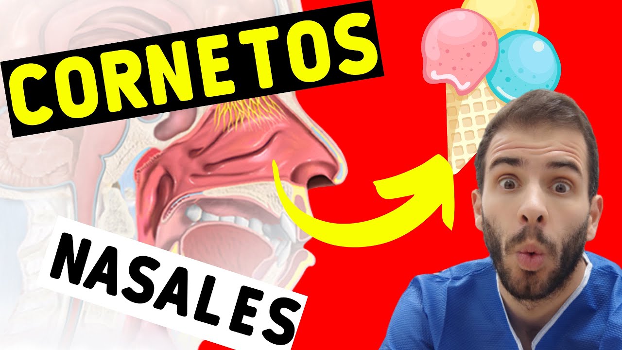 ¿Cómo se describen los nasales normales? VALETRY