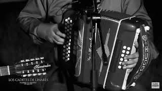 Tu Buen Camino-Homero Guerrero Tercero y sus KDT&#39;s