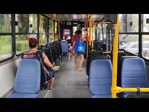 Ikarus 260.46 (BPI-213) [99-es busz] Temesvár utca - Mártírok útja