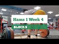 DVTV: Block 5 Hams 1 Wk 4