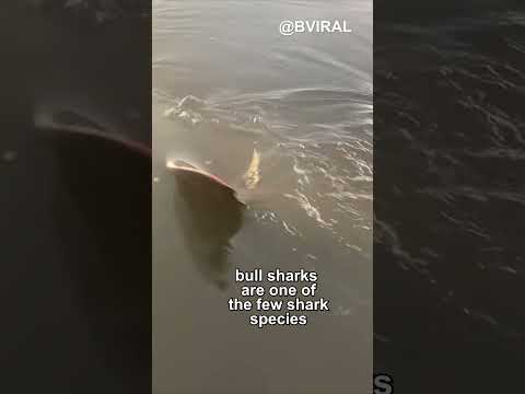Why This Golf Course Had Sharks