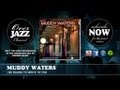 Muddy Waters - I Be Bound to Write to You (1942)