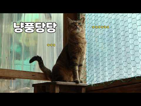 사이좋게 지내기는 이번 생에 글렀나 봅니다