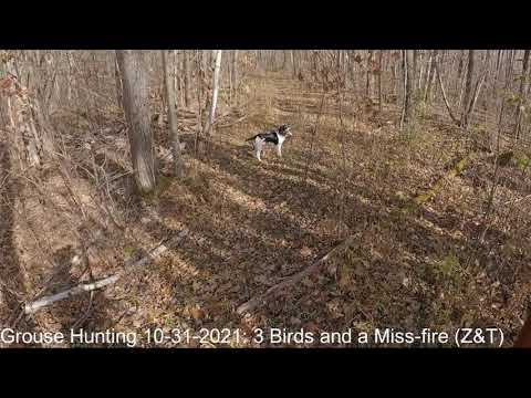 Grouse Hunting 2021-10-31:  3 Birds Downed & A Dud Shell