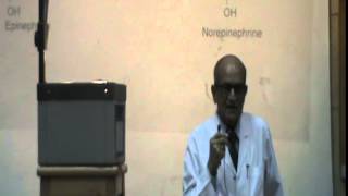 11)Dr. Rasheed 18-3-2015 [Phenylalanine - creatine - heme ]