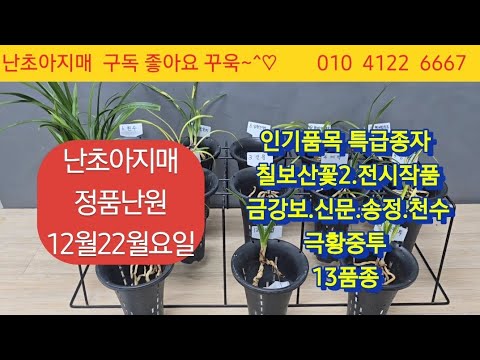 유튜브 썸네일