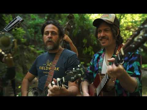 The Brothers Comatose - "Gone Gone Gone"