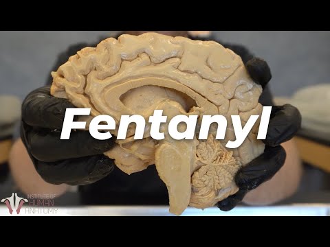 Why Fentanyl Is So Incredibly Dangerous