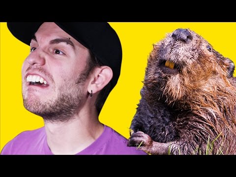 What's the Difference?